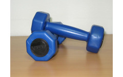 Комплект гантелей 1 кг (2шт) V-SPORT Комплект гантелей 1 кг (2шт) V-SPORT